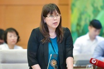 Giao người điều hành Bộ TN&MT cho đến khi kiện toàn chức danh Bộ trưởng