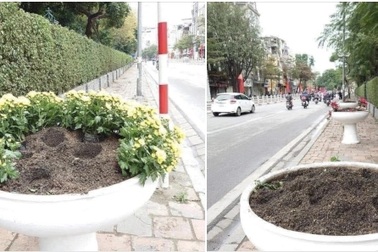 Nhổ trộm hoa về trưng thì liệu có tâm hồn để thưởng thức cái đẹp của hoa?