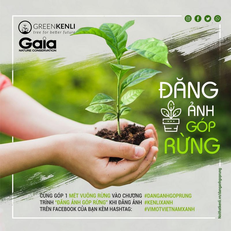 Xây dựng tổ ấm xanh, ý nghĩa lớn từ hành động nhỏ! - 1 Xây dựng tổ ấm xanh, ý nghĩa lớn từ hành động nhỏ! - 1