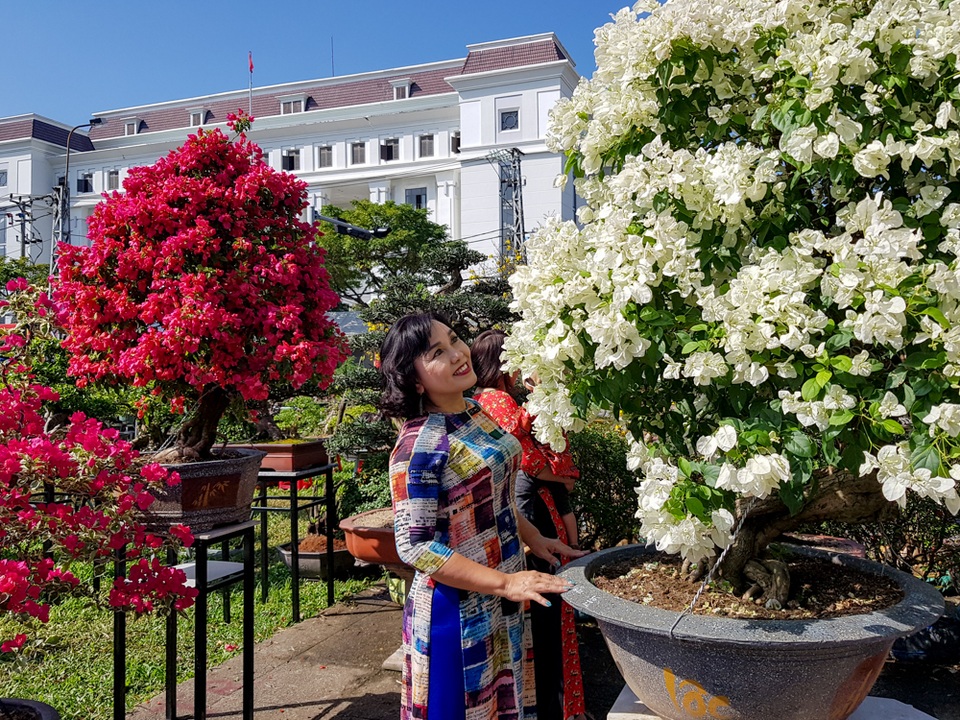 Du khách xúng xính “check-in” chợ hoa xuân Đà Nẵng - 2 Du khách xúng xính “check-in” chợ hoa xuân Đà Nẵng - 2