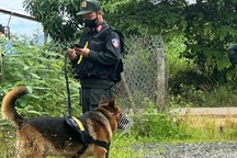 Chó nghiệp vụ phát hiện bí mật trong vườn nhà của cặp tình nhân