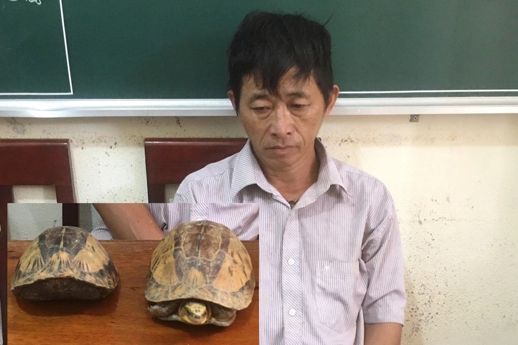 Người đàn ông bị bắt khi mang 2 con rùa hộp trán vàng đi bán - 1 Người đàn ông bị bắt khi mang 2 con rùa hộp trán vàng đi bán - 1