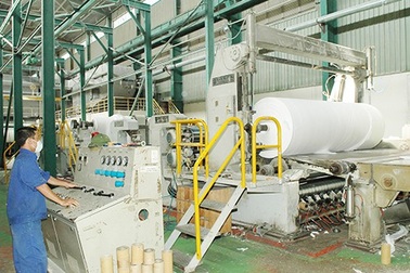 Chuyển giao 2 doanh nghiệp của Tổng công ty  Giấy: Trục trặc vì nợ nần