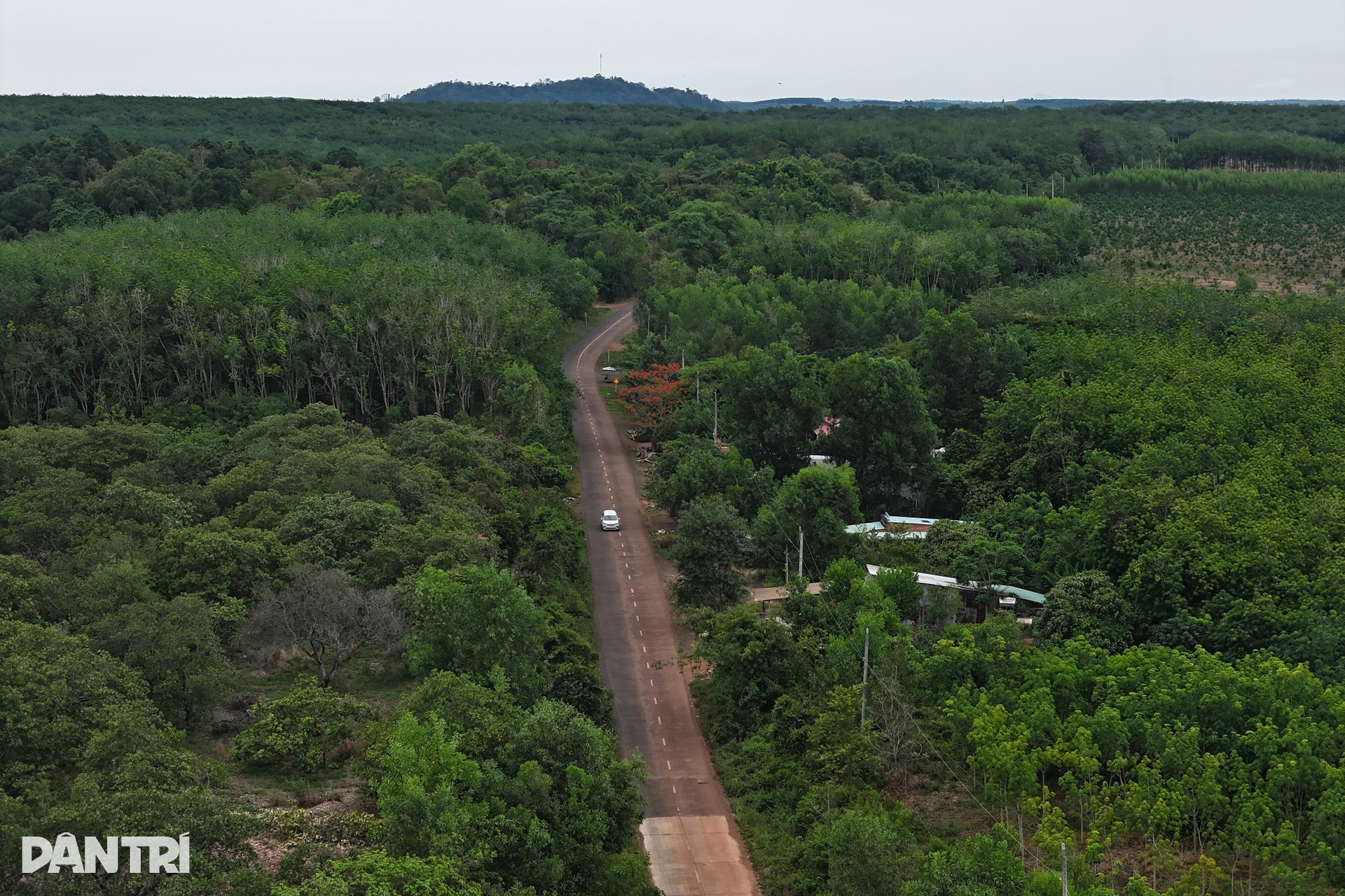 Cầu tạm duy nhất nối Đồng Xoài với Biên Hòa qua sông Mã Đà - 9