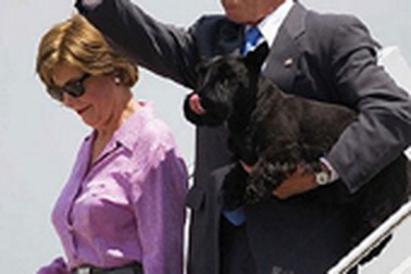 Những “ngôi sao” bốn chân của các tổng thống Mỹ