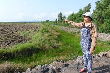 Canh tác gần 30 năm, 60ha đất bỗng “lọt” vào quỹ đất công: Đâu là sự thật?