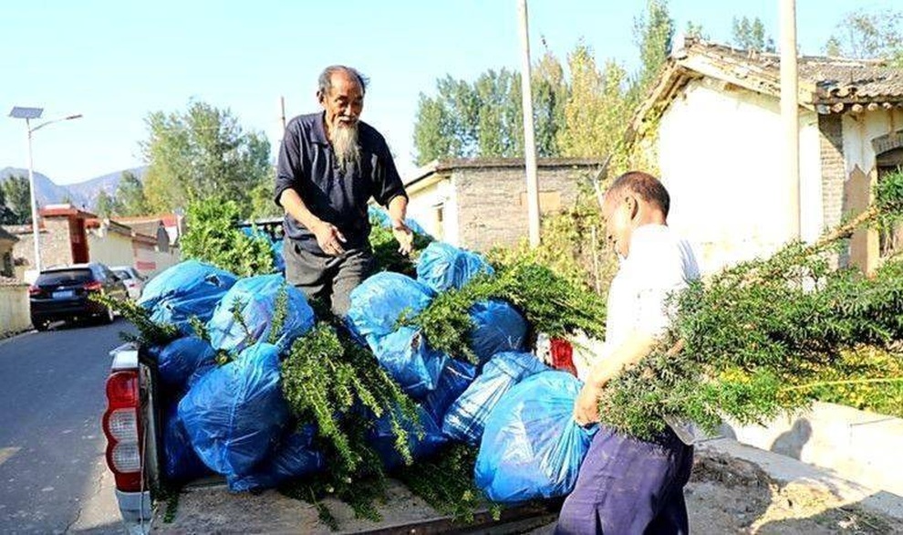 Cụ ông 71 tuổi bắt tay khởi nghiệp, trồng loạt cây quý thu nhập khủng - 1 Cụ ông 71 tuổi bắt tay khởi nghiệp, trồng loạt cây quý thu nhập khủng - 1