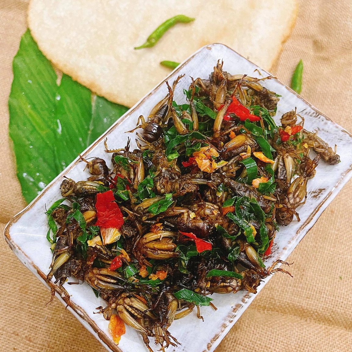 Côn trùng xấu lạ thành đặc sản, khách đổ mồ hôi thưởng thức ở Đồng Nai - 3 Côn trùng xấu lạ thành đặc sản, khách đổ mồ hôi thưởng thức ở Đồng Nai - 3