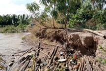 Công bố tình huống khẩn cấp sạt lở bờ sông Hậu