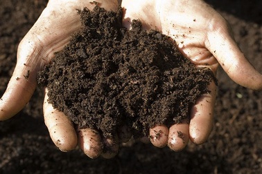 Tìm ra loại kháng sinh mới trong... đất