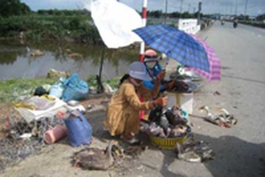 Bẫy chim bằng thuốc độc, hậu hoạ khôn lường