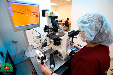 Tư vấn vô sinh, làm IVF với BS Thái Lan