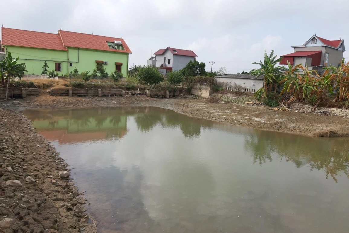 Bí ẩn bãi cọc gỗ dưới lòng đất ở Bắc Giang - 1 Bí ẩn bãi cọc gỗ dưới lòng đất ở Bắc Giang - 1