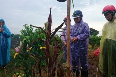 Vụ Cát Tường: Đã xác định được “chất lạ” dính trên thi thể chị Huyền