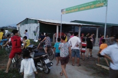 Chủ trại gà "đầu độc" môi trường hứa khắc phục ô nhiễm trong 2 tuần