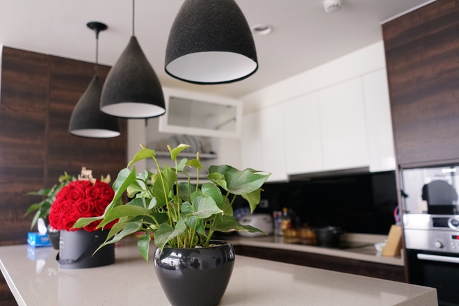 Căn penthouse “2 mặt tiền” với ban công ngập cây xanh của nữ đại gia Hà Nội - 17 Căn penthouse “2 mặt tiền” với ban công ngập cây xanh của nữ đại gia Hà Nội - 17