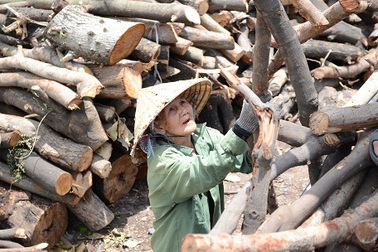 Những “bóng hồng” tiều phu giữa Sài Gòn