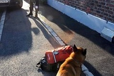 Pháp: Liên tiếp phát hiện 8 xác trẻ sơ sinh trong một làng