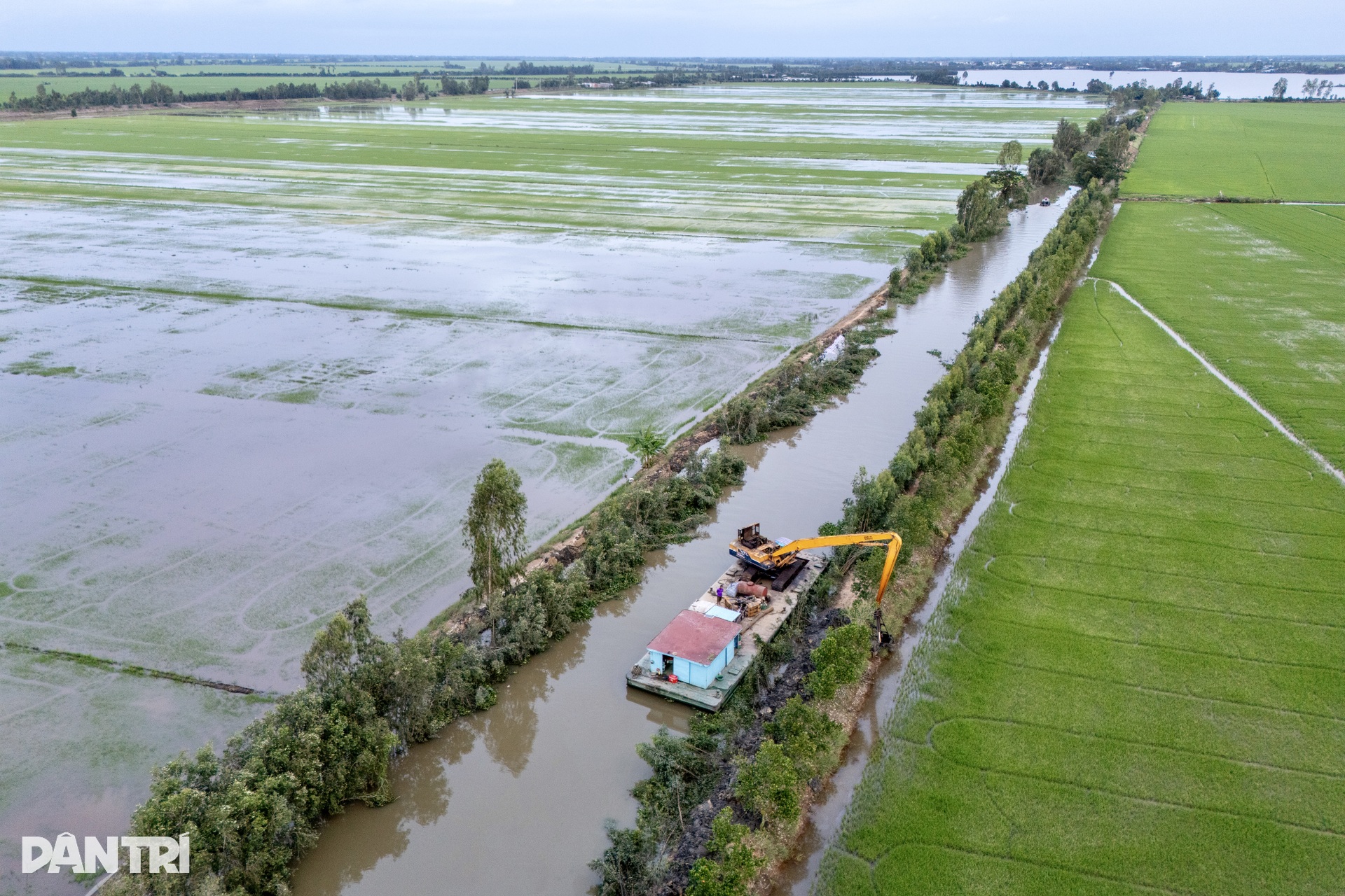 Vỡ đê bao, hàng trăm ha lúa ở Đồng Tháp bị ngập sâu trong nước lũ - 6 Vỡ đê bao, hàng trăm ha lúa ở Đồng Tháp bị ngập sâu trong nước lũ - 6