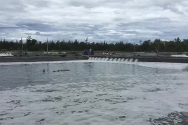 Hồ tôm xả thẳng nước thải ra biển, dân khẩn thiết cầu cứu