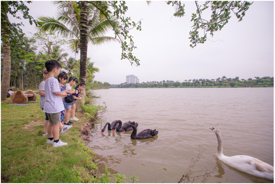Dự án căn hộ cao cấp Ecopark có hồ cảnh quan hơn 50 ha - 5 Dự án căn hộ cao cấp Ecopark có hồ cảnh quan hơn 50 ha - 5