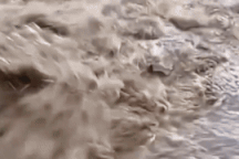 Lũ cuồn cuộn đổ về sông Ngàn Phố, nhiều trường cho học sinh nghỉ học