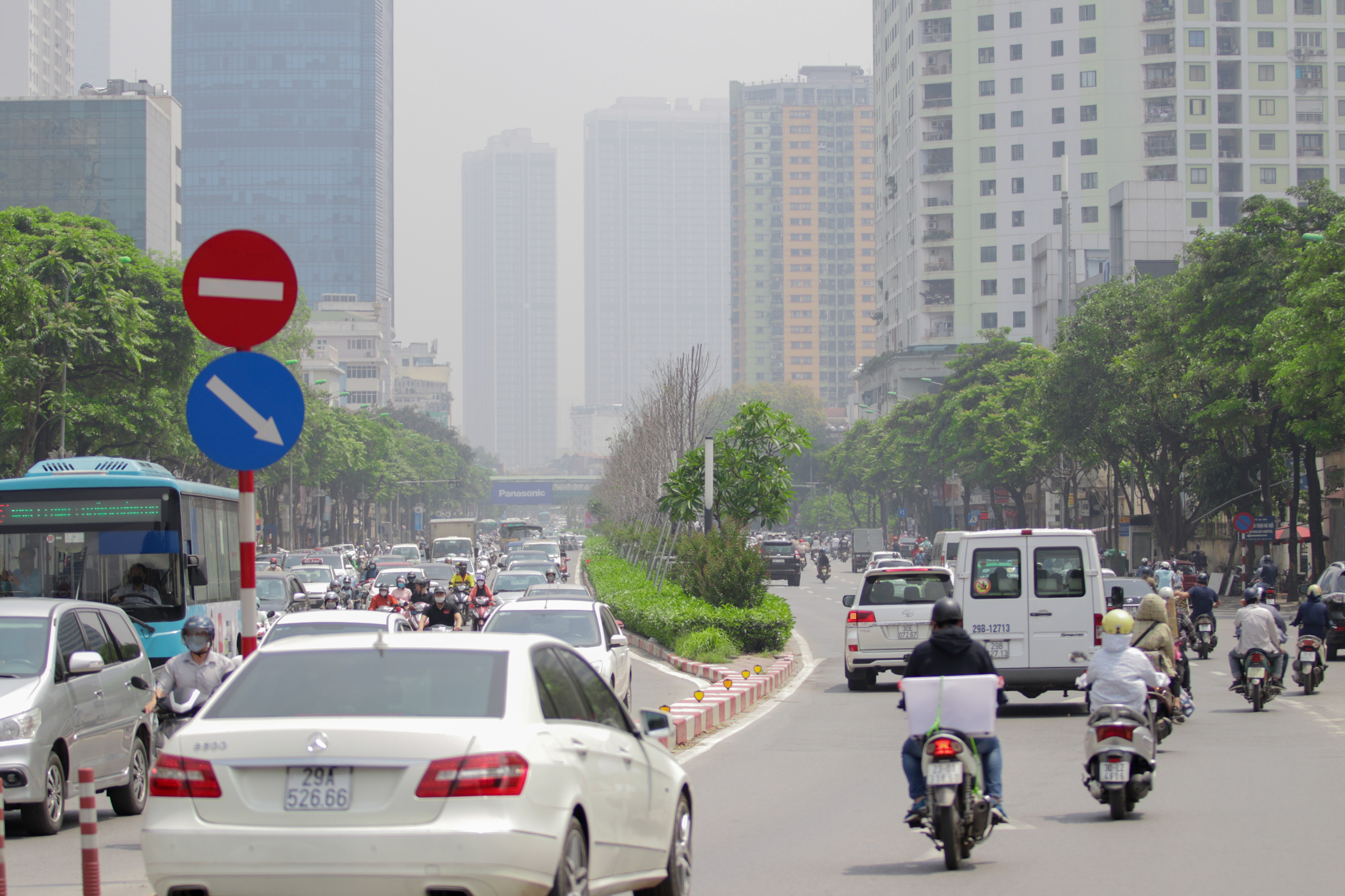 Nắng nóng thiêu đốt hàng trăm cây phong lá đỏ sống như chết khô - 17 Nắng nóng thiêu đốt hàng trăm cây phong lá đỏ sống như chết khô - 17