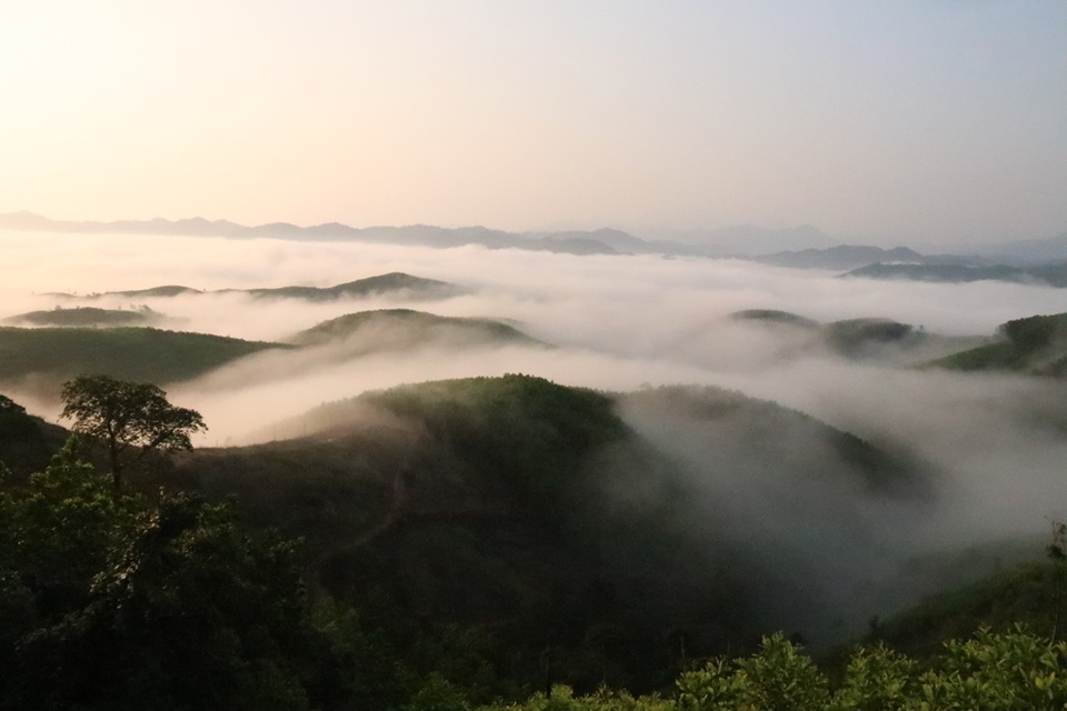 Mây giăng kín như bồng lai tiên cảnh trên đỉnh Giăng Màn - 4 Mây giăng kín như bồng lai tiên cảnh trên đỉnh Giăng Màn - 4