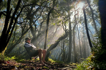 Choáng ngợp "kỳ quan" bên trong khu rừng đỗ quyên quý hiếm nhất Việt Nam