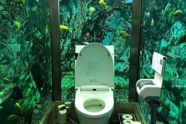 Cửa hàng cafe chi hơn 6,6 tỉ lắp đặt bể cá khổng lồ quanh nhà vệ sinh