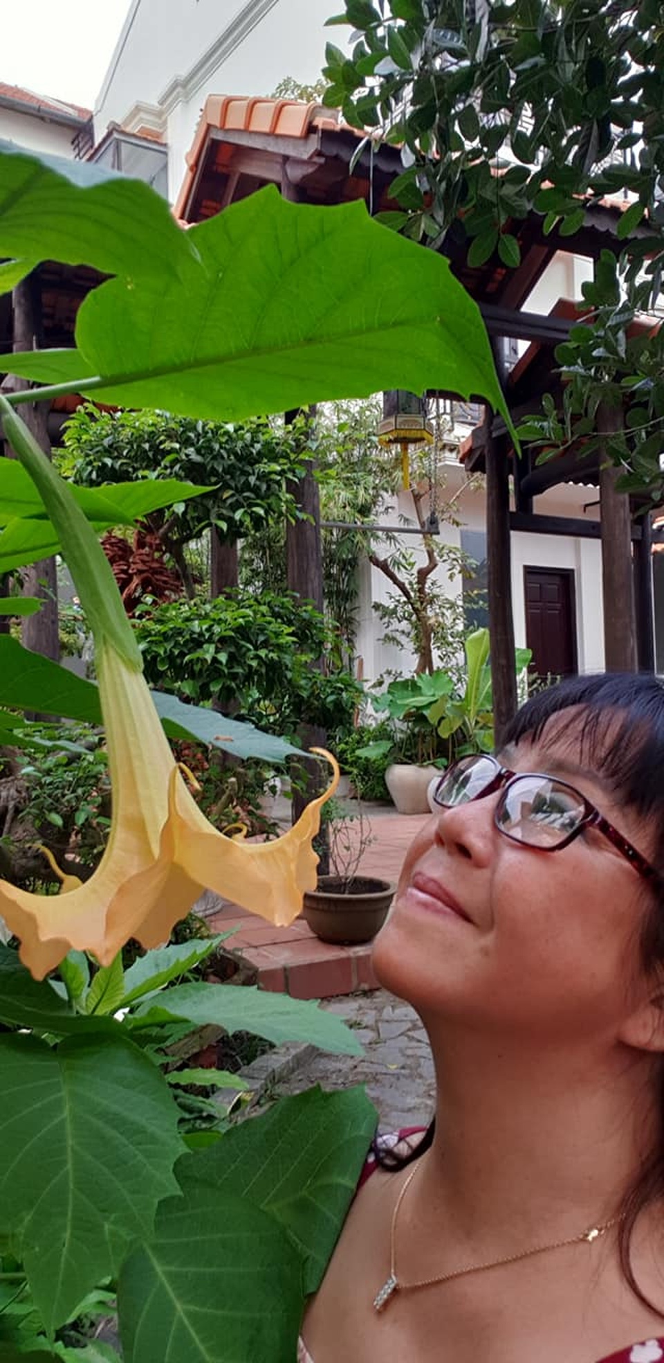 Ca sĩ Ánh Tuyết: “Đầu óc tôi giờ toàn... rau với đất” - 4 Ca sĩ Ánh Tuyết: “Đầu óc tôi giờ toàn... rau với đất” - 4