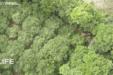 Cuộc sống ở ngôi làng trường thọ nhất thế giới