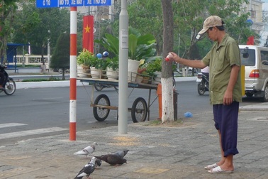 Người đàn ông “xén” bánh của cháu để nuôi chim trời