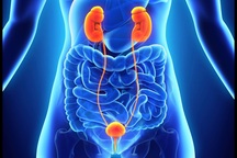 Phát hiện ung thư bàng quang từ những dấu hiệu tưởng như đơn giản