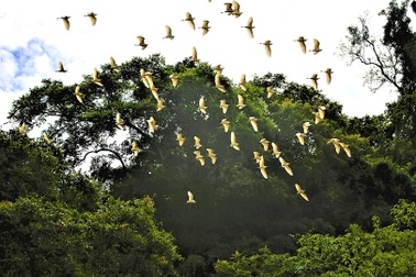 Khám phá vẻ đẹp hoang sơ ở mảnh đất có đường biên giới dài nhất xứ Nghệ