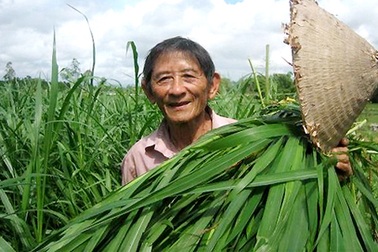 Trong veo cho đến khi chết