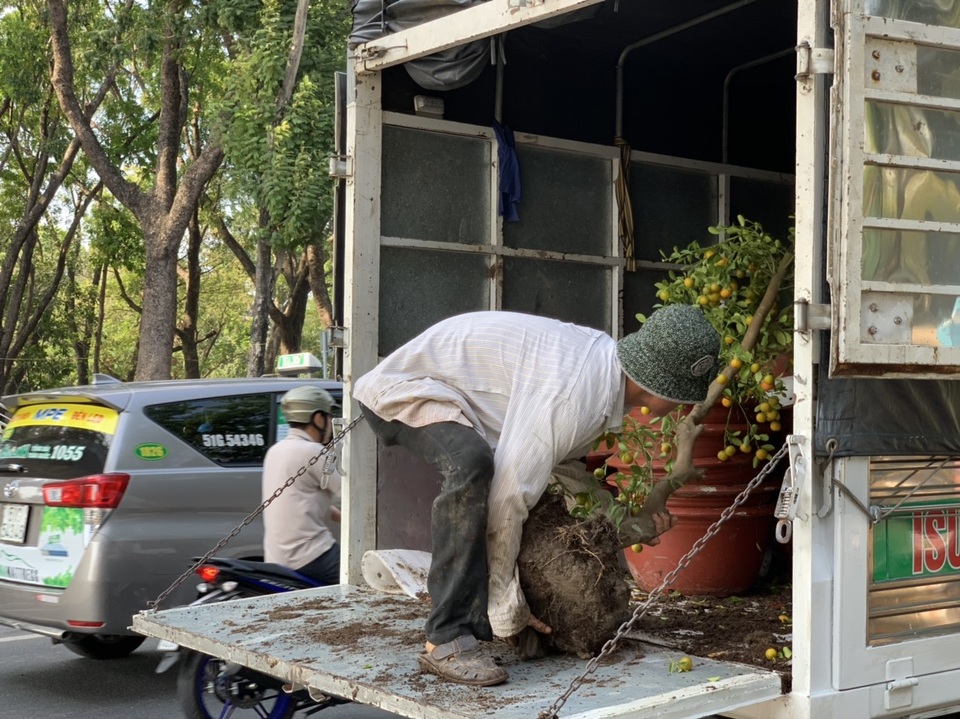Thương lái mệt mỏi xả hàng, giá hoa tết nhiều nơi giảm 50-70% - 20 Thương lái mệt mỏi xả hàng, giá hoa tết nhiều nơi giảm 50-70% - 20