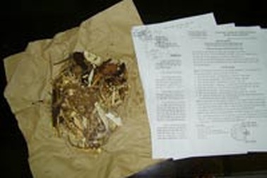 Tôi đi khám “thần y” (Kỳ cuối)