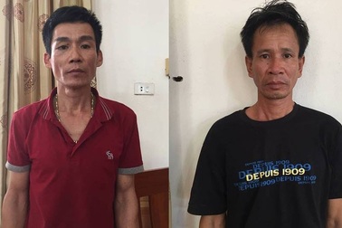 Táo tợn dùng ô tô đi trộm bò ở Quảng Bình rồi mang ra Hà Tĩnh tiêu thụ