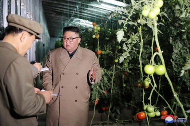Ông Kim Jong-un thăm trang trại trồng rau trước nguy cơ thiếu lương thực