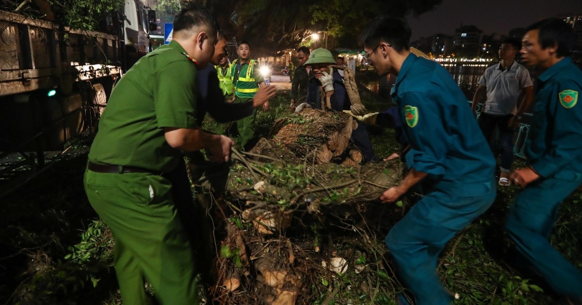 Đội tinh nhuệ từ các địa phương xuyên đêm dọn dẹp cây xanh hỗ trợ Hà Nội - 2