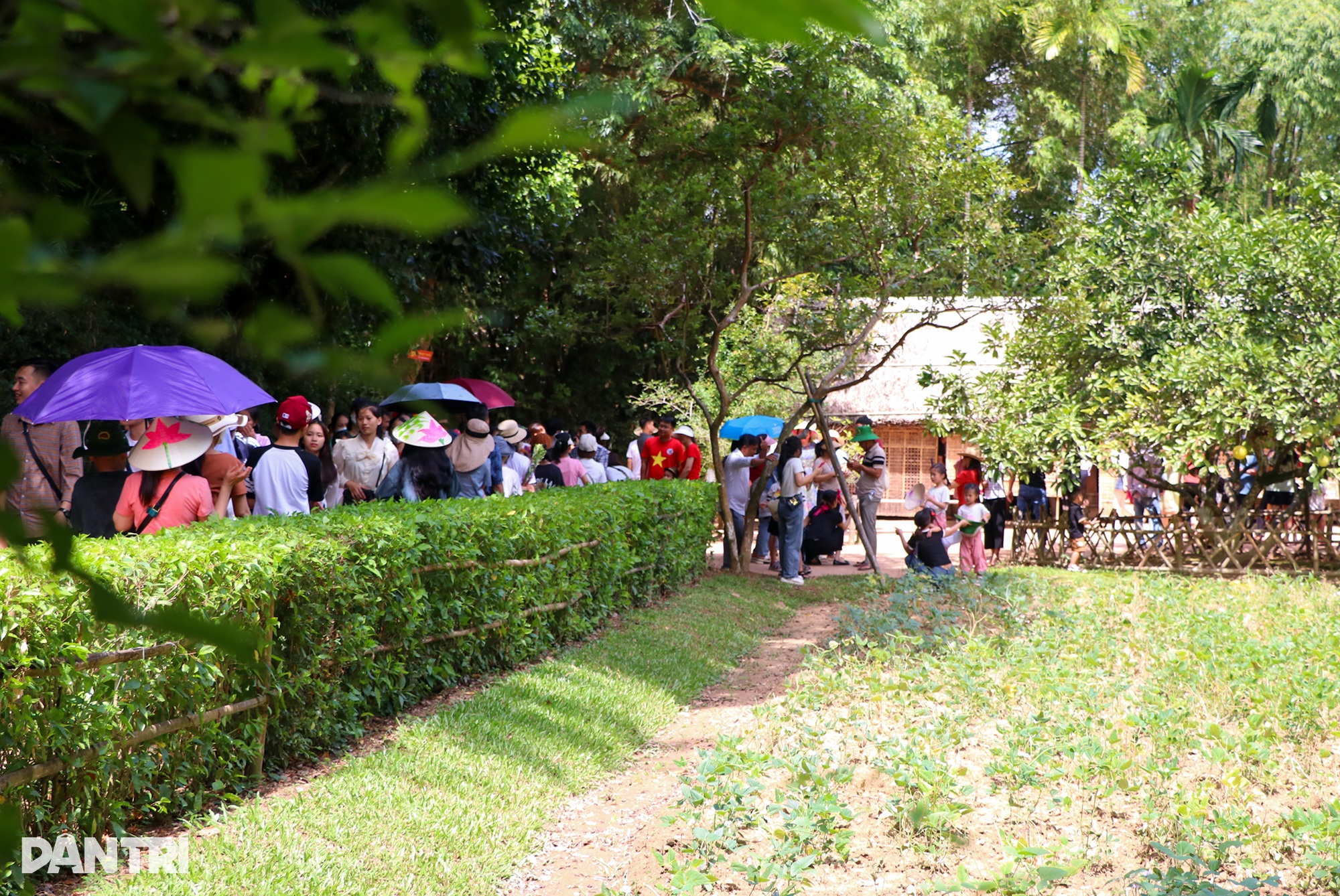 Národní den, navštivte rodné město strýčka Ho a dozvíte se o něm více - 2 Lễ Quốc khánh, về thăm quê Bác để học Bác nhiều hơn - 2