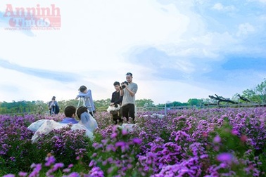 Có một thảo nguyên đẹp mê hồn giữa lòng Hà Nội