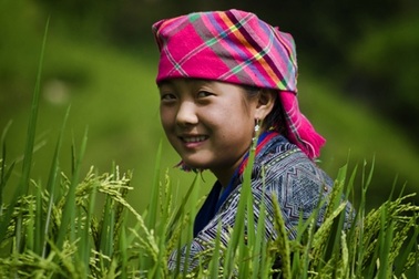 Ngất ngây Tú Lệ…