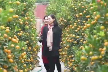 Làng nghề tất bật dịp cuối năm