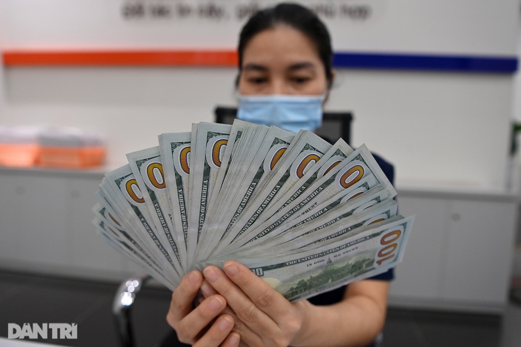 Đi mua USD thuê, mua 5.000 USD được trả công 1,5-2 triệu đồng/ngày - 4 Đi mua USD thuê, mua 5.000 USD được trả công 1,5-2 triệu đồng/ngày - 4