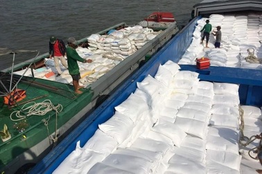Xuất khẩu gạo trầm lắng, Hiệp hội Lương thực kêu gọi doanh nghiệp bình tĩnh