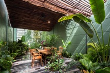 Nhà vườn không cần đến gạch vữa khiến hàng xóm tò mò ở Vũng Tàu