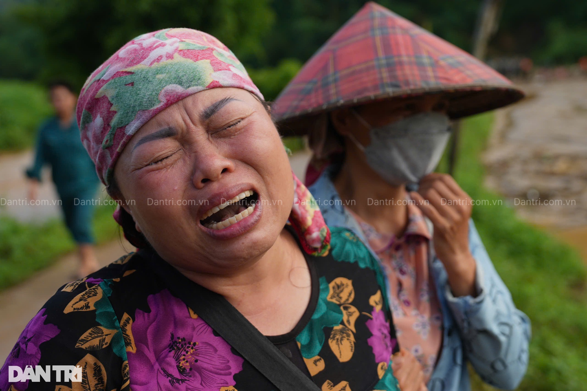 Chó nghiệp vụ tìm kiếm người bị nạn sau trận lũ càn quét Làng Nủ ở Lào Cai - 10 Chó nghiệp vụ tìm kiếm người bị nạn sau trận lũ càn quét Làng Nủ ở Lào Cai - 10