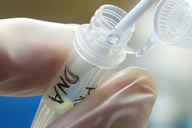 Vụ nữ tử tù mang thai: Xét nghiệm ADN tìm "tác giả"?